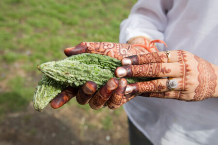 Karela: A Treasure from India Image